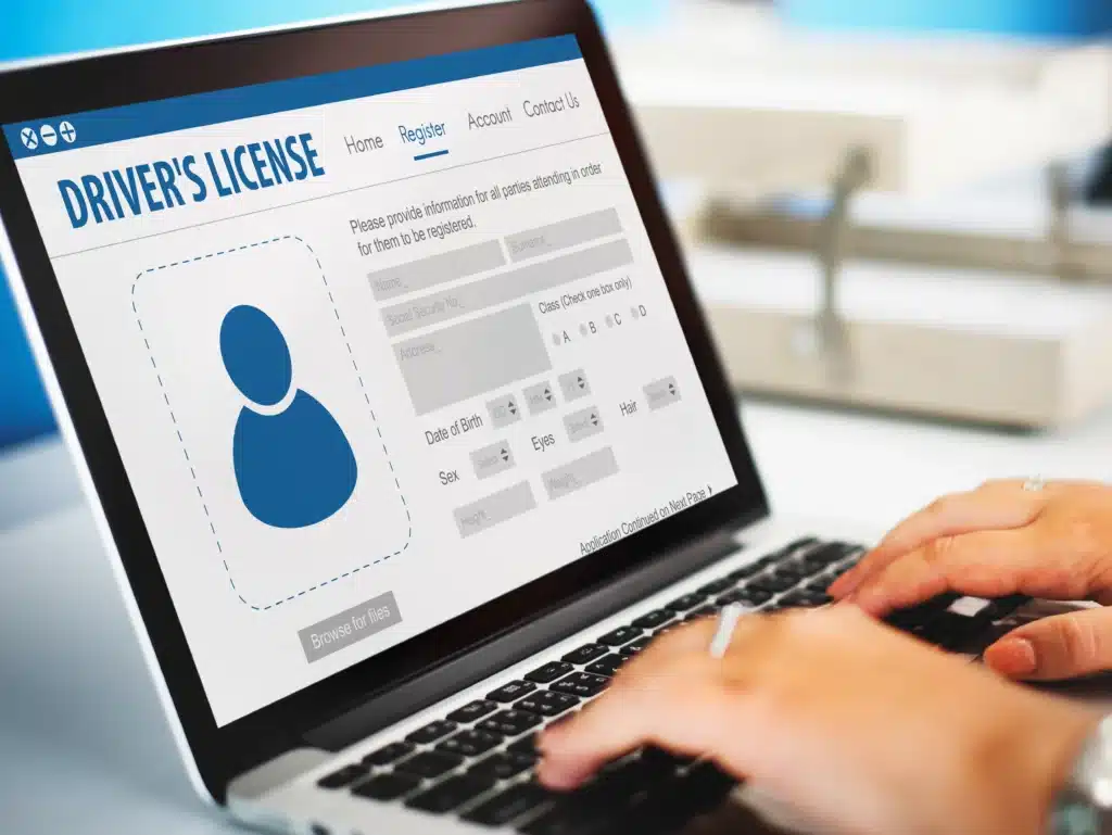 international driver s license card identification data information concept